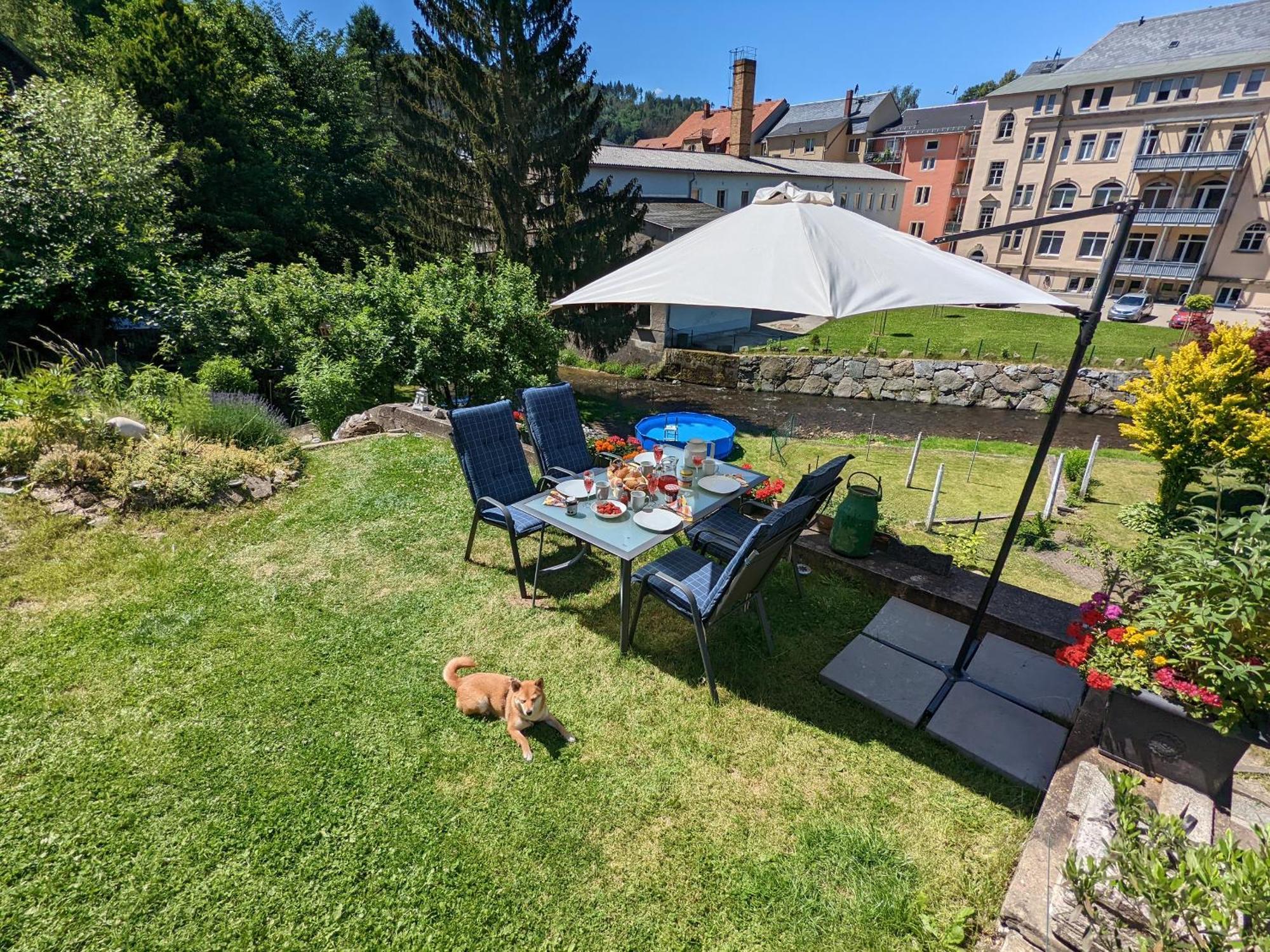 Zi1 - Urlaubsmagie - Erholung Mit Whirlpool & Sauna Sebnitz Extérieur photo