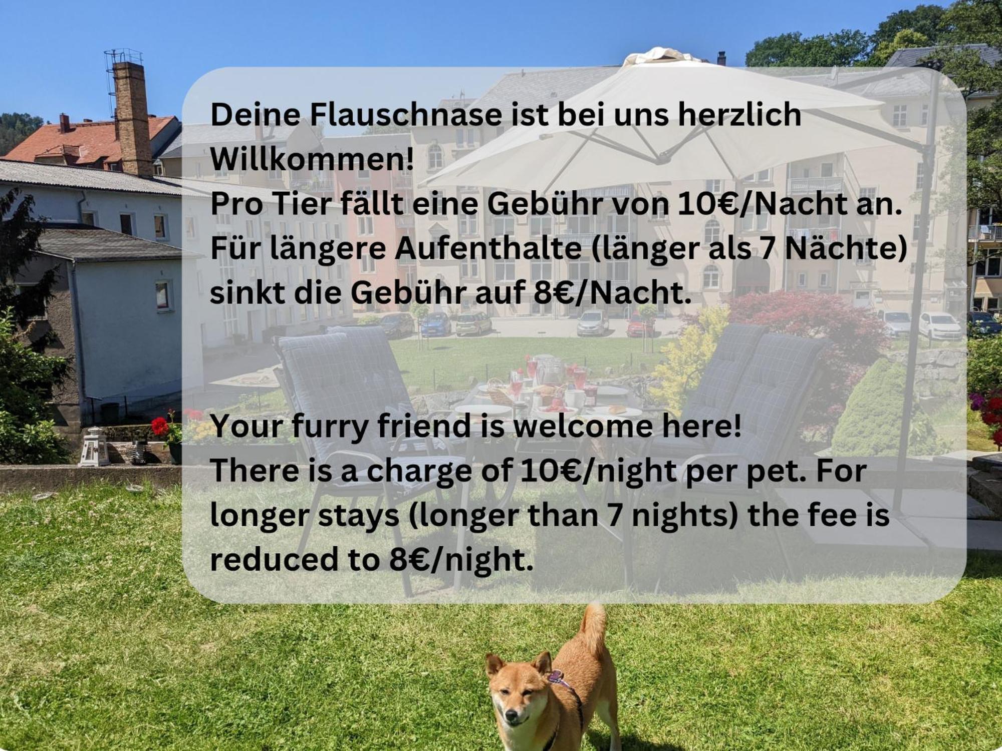 Zi1 - Urlaubsmagie - Erholung Mit Whirlpool & Sauna Sebnitz Extérieur photo